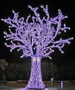 lighted tree 1